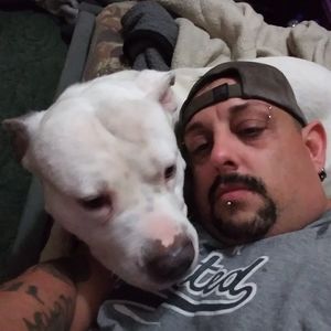 Meet your Posher, Patrick